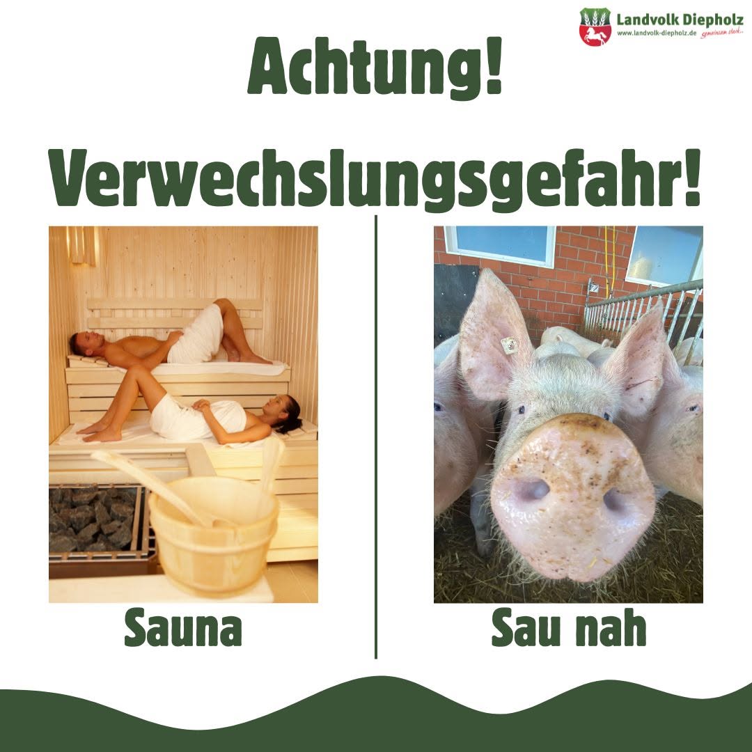 <a href="https://www.instagram.com/p/DXiz22nkdTc" target="_blank">Achtung #Verwechslungsgefahr! 🐷🐽 Im Schweinestall kommt hoffentlich keiner so schnell ins Schwitzen! 😉 #Sauna #Sau #S…</a>