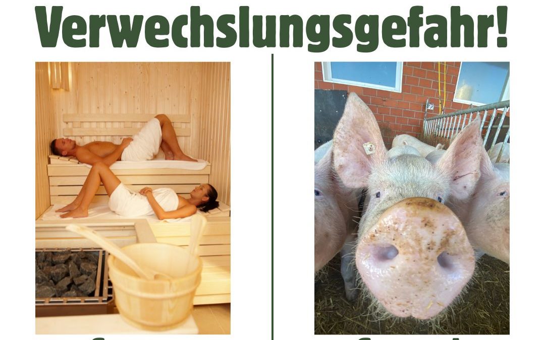 Achtung #Verwechslungsgefahr! 🐷🐽 Im Schweinestall&hellip;