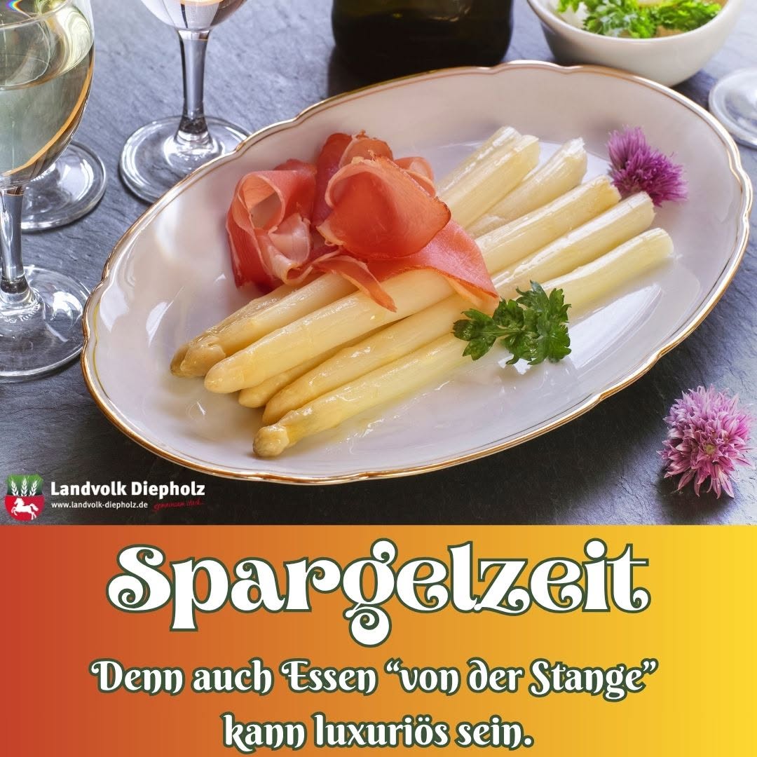<a href="https://www.instagram.com/p/DXONCuZApYr" target="_blank">Am liebsten natürlich den heimischen Spargel aus der Region! 😋 #Spargel #Spargelzeit #Spargelstrasse #Genuss</a>
