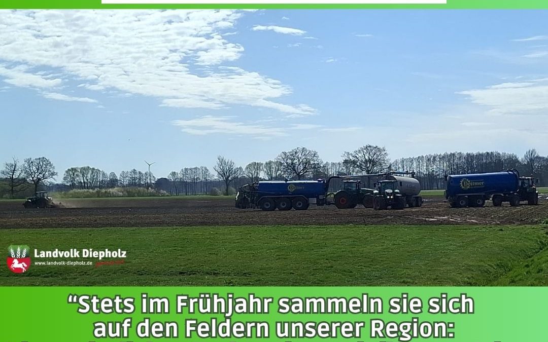 Immer wieder faszinierend, sie in&hellip;