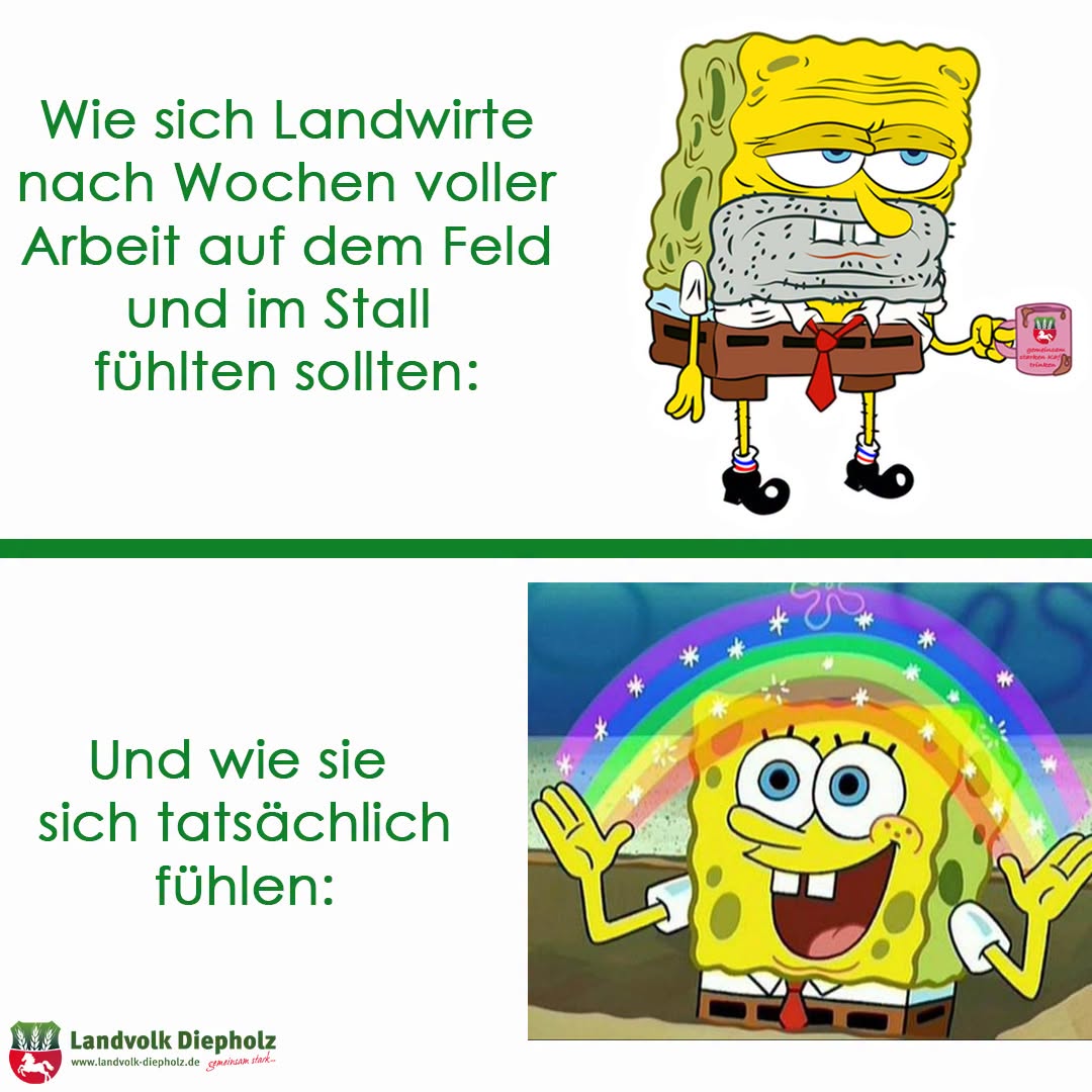 <a href="https://www.instagram.com/p/DXV7eRmEmsy" target="_blank">Düngen. eggen, Grünlandpflege, Pflanzenschutz, pflügen, säen und noch mehr: Landwirtschaft bedeutet gerade im Frühjahr v…</a>