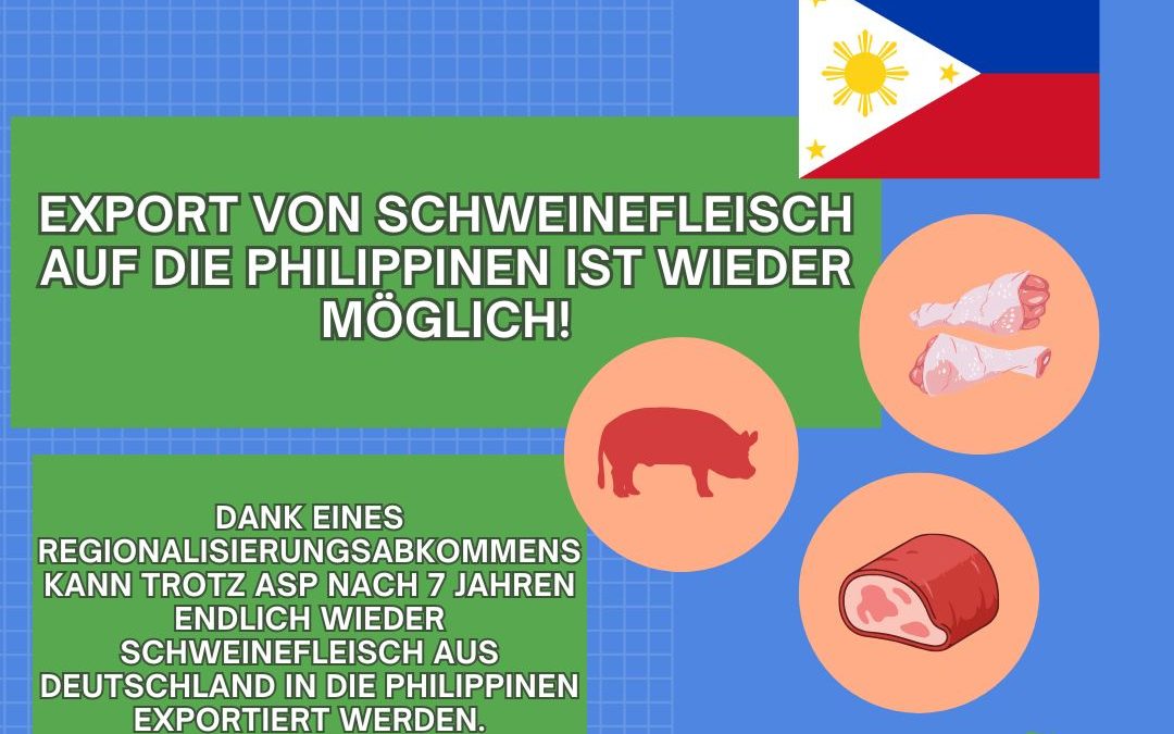 Warum nicht mal mit einer&hellip;