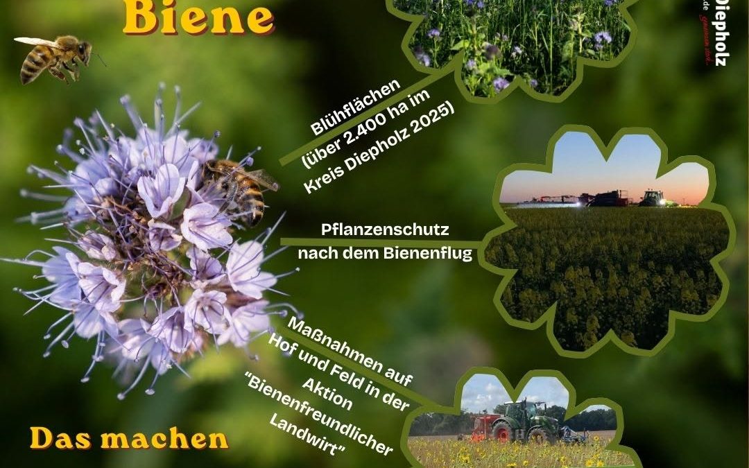 Summ summ summ – 🐝 Auf den Feldern unserer heimischen Landwirte summt und brummt es. Natürlich besonders auf den eigens…