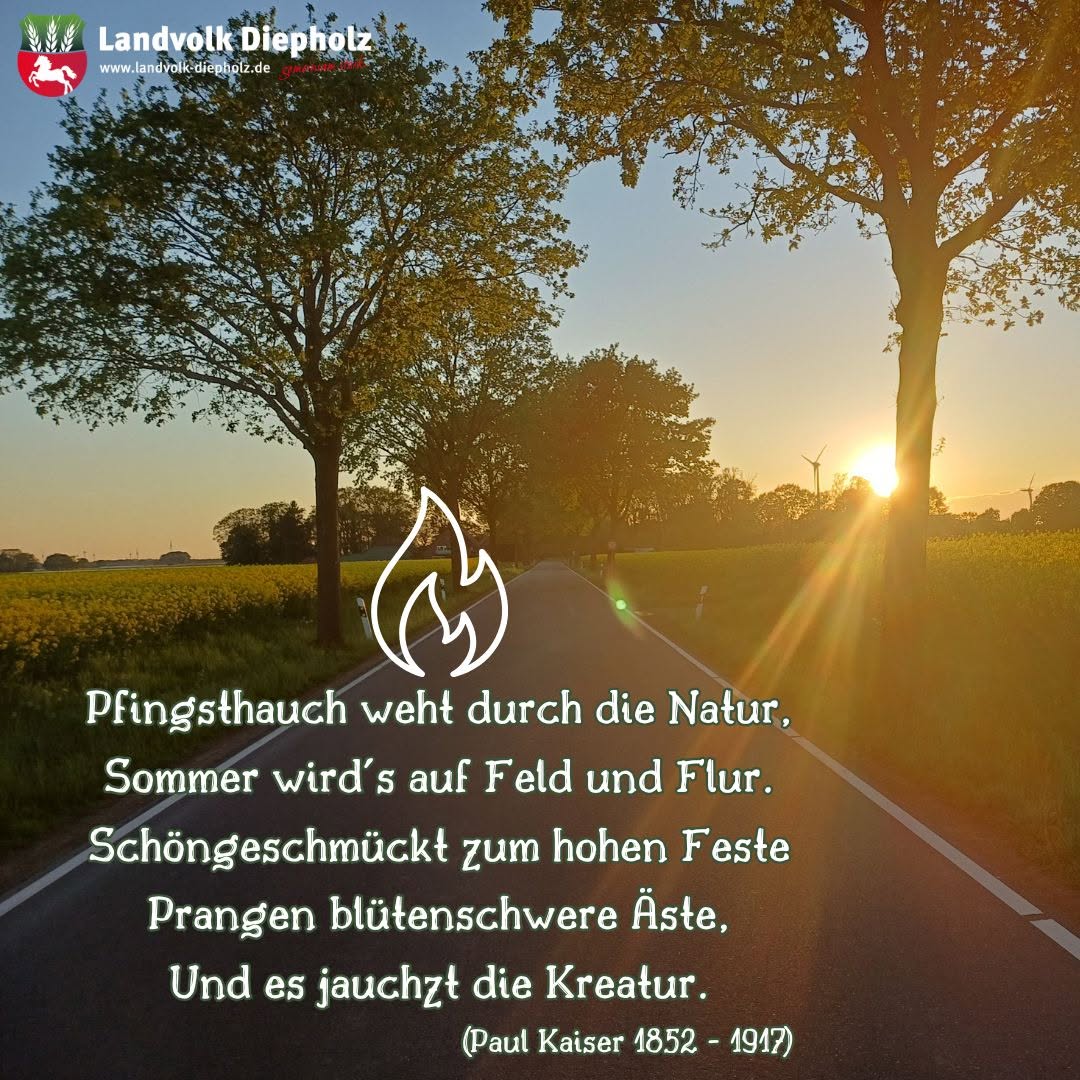 <a href="https://www.instagram.com/p/DYuIVp8jHeb" target="_blank">Wir wünschen allen frohe Pfingsten! ☀️ #Pfingsten #Landwirtschaft</a>