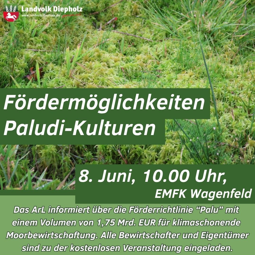<a href="https://www.instagram.com/p/DZICWRpjvpq" target="_blank">Der Anbau von Torfmoosen und ähnlichen Paludikulturen lässt sich ohne Förderung (noch) nicht bewerkstelligen. Über die F…</a>
