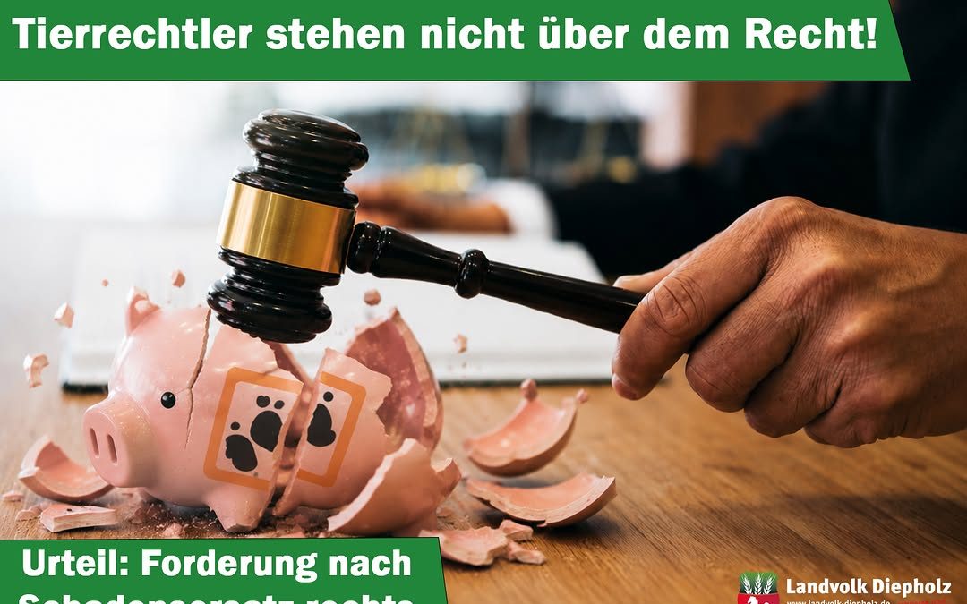 Gute Nachrichten aus dem Gerichtssaal: ⚖️ Die Tierrechtler, die für ARIWA in einen Schlachthof eingestiegen sind, dürfen…