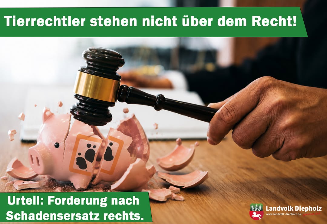 <a href="https://www.instagram.com/p/DZaUZwzld-g" target="_blank">Gute Nachrichten aus dem Gerichtssaal: ⚖️ Die Tierrechtler, die für ARIWA in einen Schlachthof eingestiegen sind, dürfen…</a>