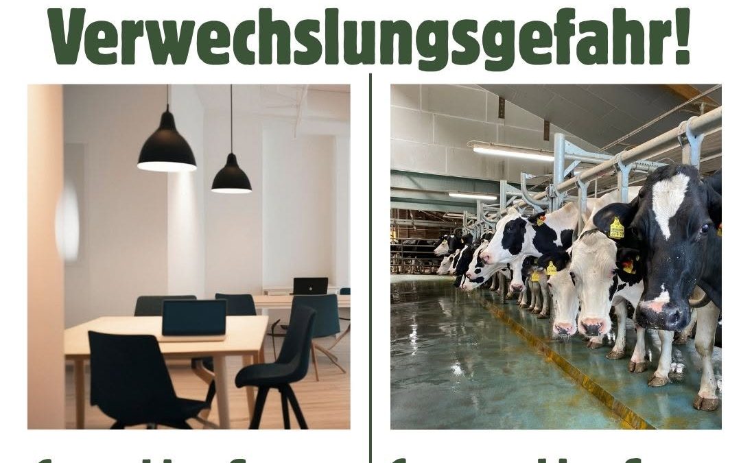 Verwechslungsgefahr! 😉 #Cowcontent #Kühe #Coworking