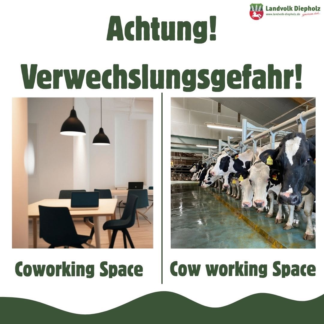 <a href="https://www.instagram.com/p/DZhFPiPATO3" target="_blank">Verwechslungsgefahr! 😉 #Cowcontent #Kühe #Coworking</a>