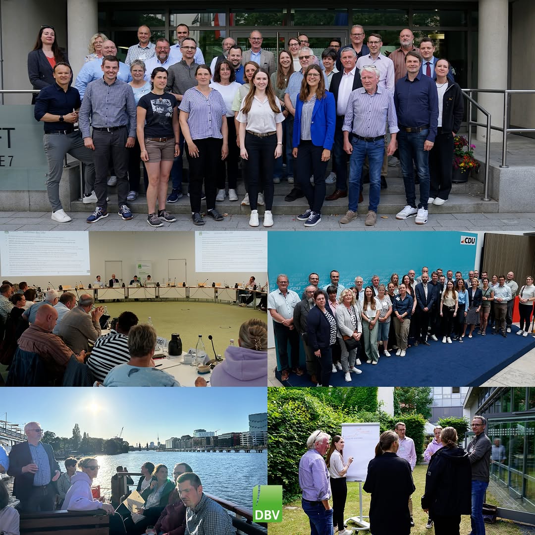 <a href="https://www.instagram.com/p/DZcLdiCjpqe" target="_blank">Im Rahmen der DBV-Kreisgeschäftsführertagung fand in den vergangenen drei Tagen ein intensiver und vielseitiger Austausc…</a>