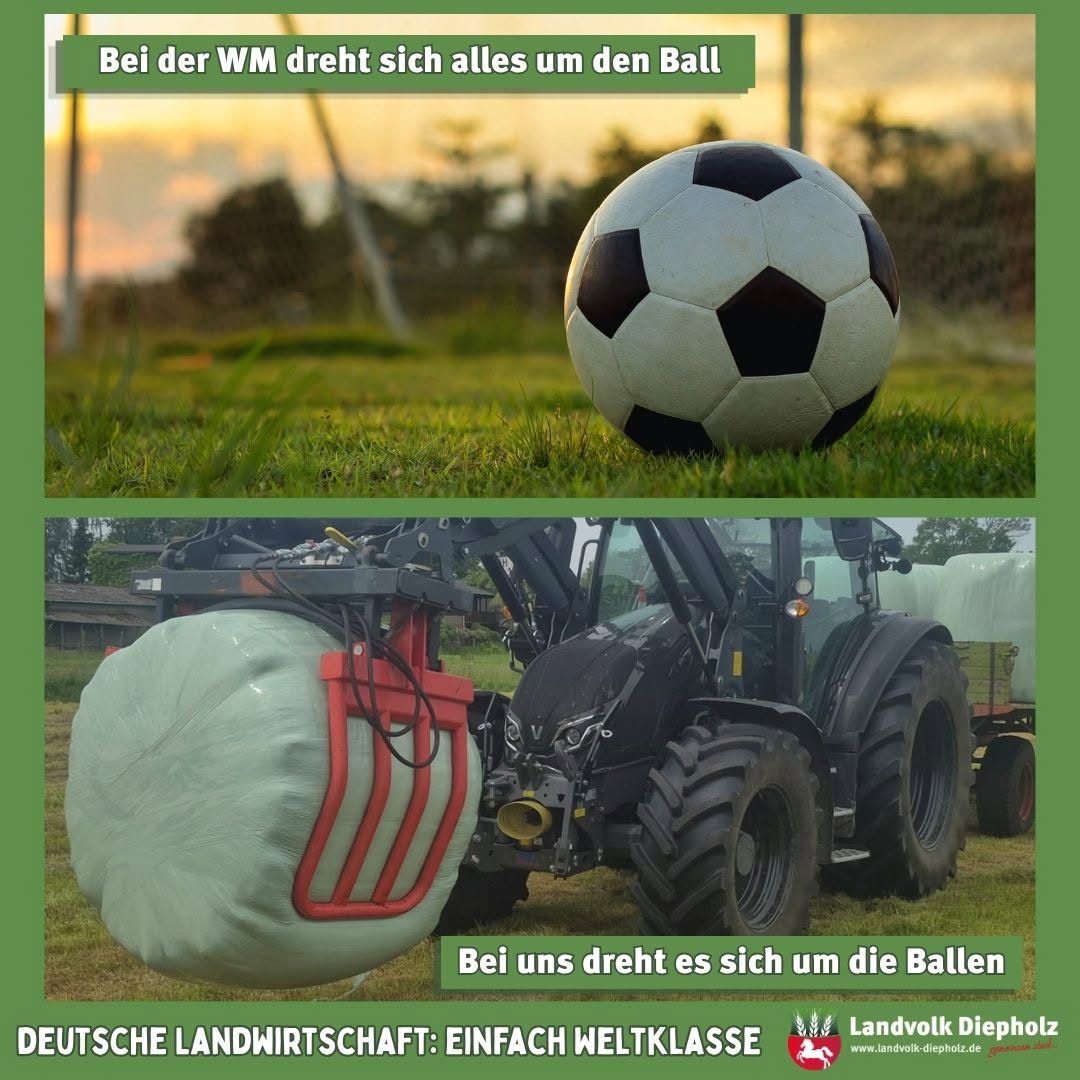 <a href="https://www.instagram.com/p/DZc-NGjjvMF" target="_blank">Es geht los! Fussball-WM ! ⚽️🏆🇩🇪 Wir finden, auch unsere Landwirtinnen und Landwirte sind echte Weltmeister in ihrem …</a>