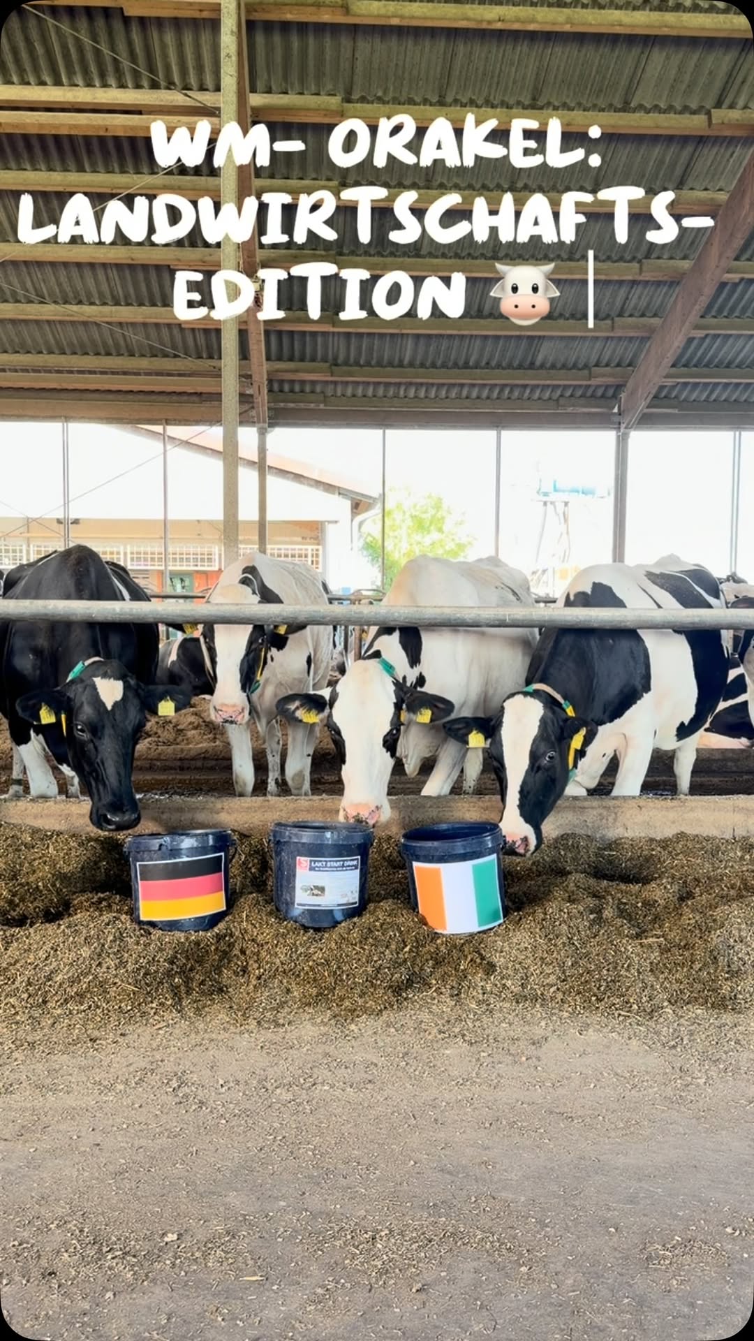 <a href="https://www.instagram.com/p/DZ0Y5FbopUA" target="_blank">⚽ WM-Orakel – Landwirtschafts-Edition! 🐮 Unsere tierischen Profis sind sich heute nicht ganz einig: Die Jury tippt auf …</a>