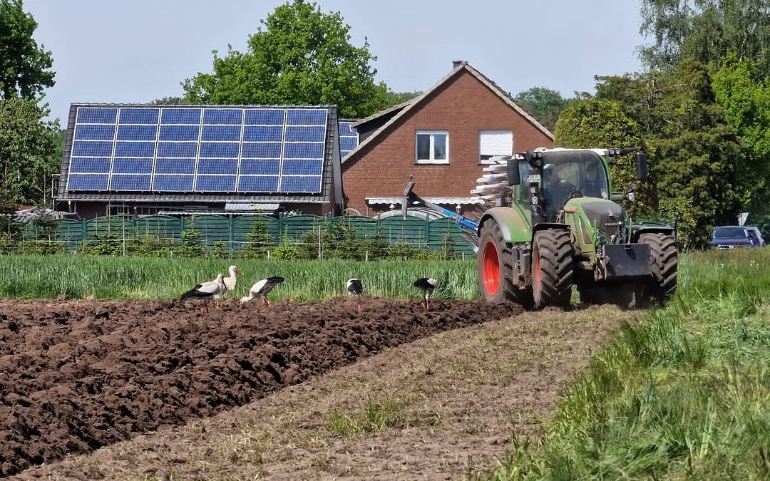 Bild Nr. 3 unserer Auswahl des Fotowettbewerbs "Land(wirtschaft) im Frühling" 💐🚜 . Fotografin Annemarie hat in ihrem B…