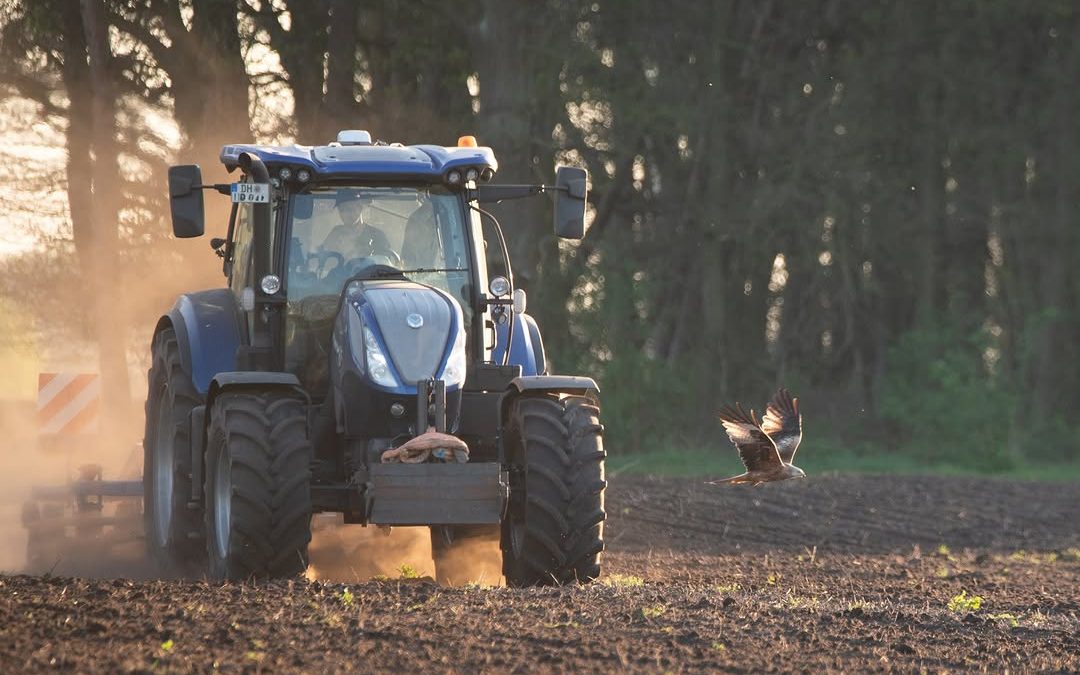 Greifvogel und Traktor im perfekten Moment festgehalten, das bietet unser Bild Nr. 6 von umseremFotowettbewerb "Land(wir…