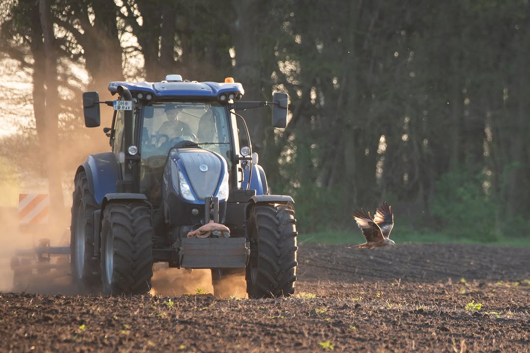 <a href="https://www.instagram.com/p/DaIFoyoFDtn" target="_blank">Greifvogel und Traktor im perfekten Moment festgehalten, das bietet unser Bild Nr. 6 von umseremFotowettbewerb "Land(wir…</a>