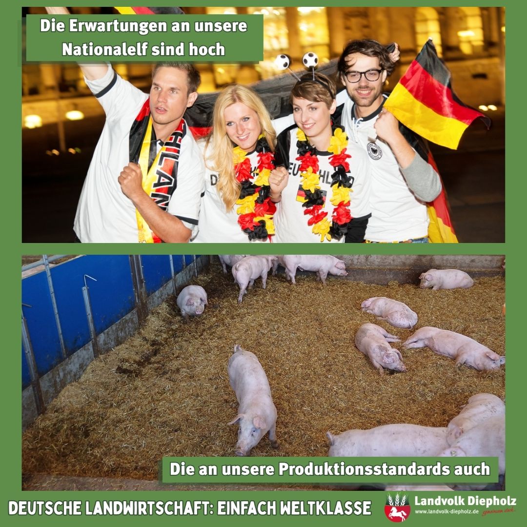 <a href="https://www.instagram.com/p/DaKLEkkgW7b" target="_blank">Auf geht's in die K.O-Runde der Fußball-WM! ⚽️🏆🇩🇪 Alle schauen auf die Leistung unserer National-Elf und in der Tierh…</a>