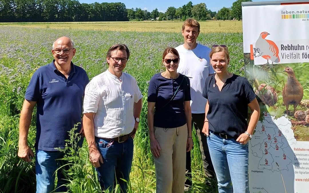 Landwirtschaft und Naturschutz Hand in Hand. Beim Verbundprojekt "Rebhuhn retten – Vielfalt fördern" arbeitet der NUVD u…
