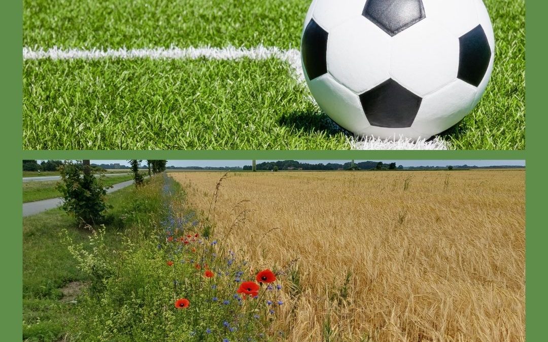 Auf geht es ins Viertelfinale der WM! ⚽️ Während auf dem Fußballplatz dass der Ball nicht über Seitenlinie geht, achten …