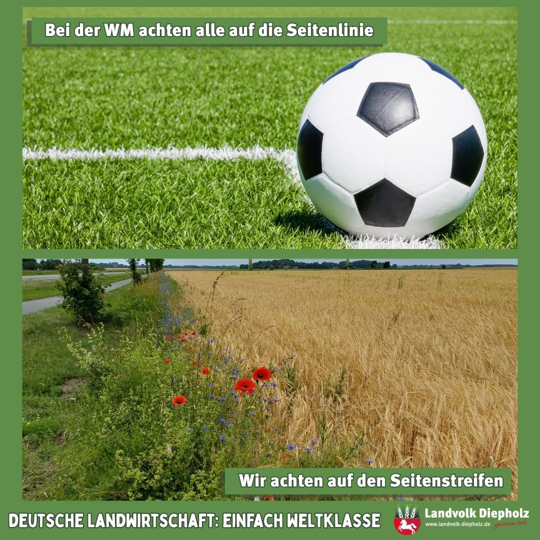 <a href="https://www.instagram.com/p/Daj7P8yjB_D" target="_blank">Auf geht es ins Viertelfinale der WM! ⚽️ Während auf dem Fußballplatz dass der Ball nicht über Seitenlinie geht, achten …</a>