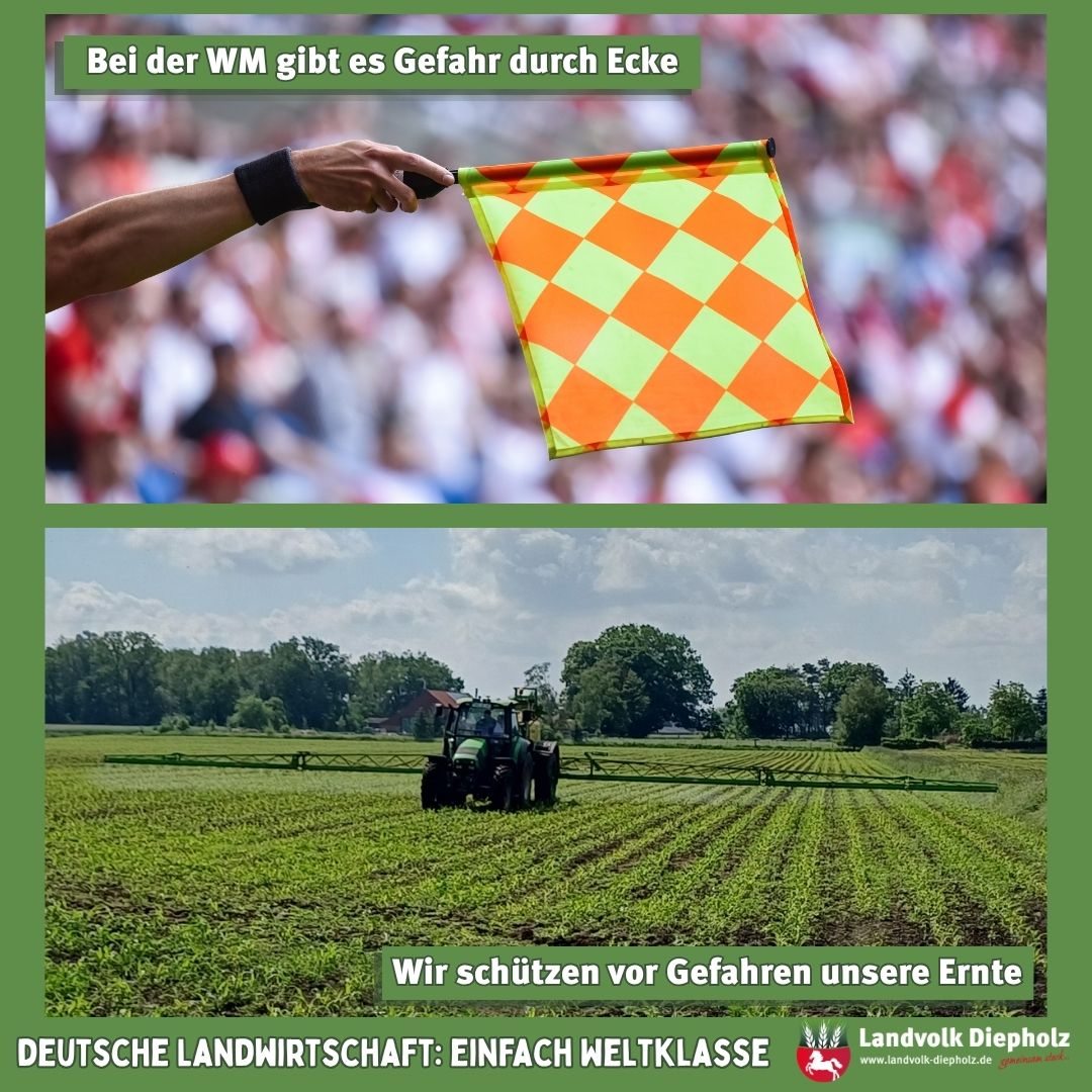 <a href="https://www.instagram.com/p/Dax3sjJgShA" target="_blank">Die Halbfinalspiele beginnen. Ein Eckball kann spielentscheidend sein. Der richtige Einsatz von Pflanzenschutzmitteln is…</a>