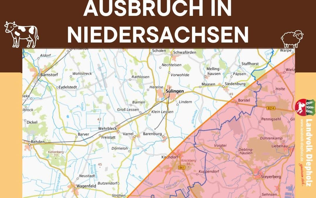 Blauzunge mit neuem Virustyp. ⚠☣️ Die Blauzungenkrankheit, die für Wiederkäuer eine Gefahr darstellt, ist in Niedersachs…
