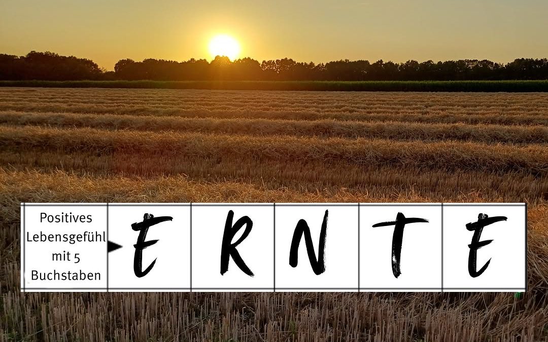 Landwirtinnen und Landwirte wissen was gemeint ist! #DiesesGefühl #Ernte2026 #Erntezeit #Landwirtschaft