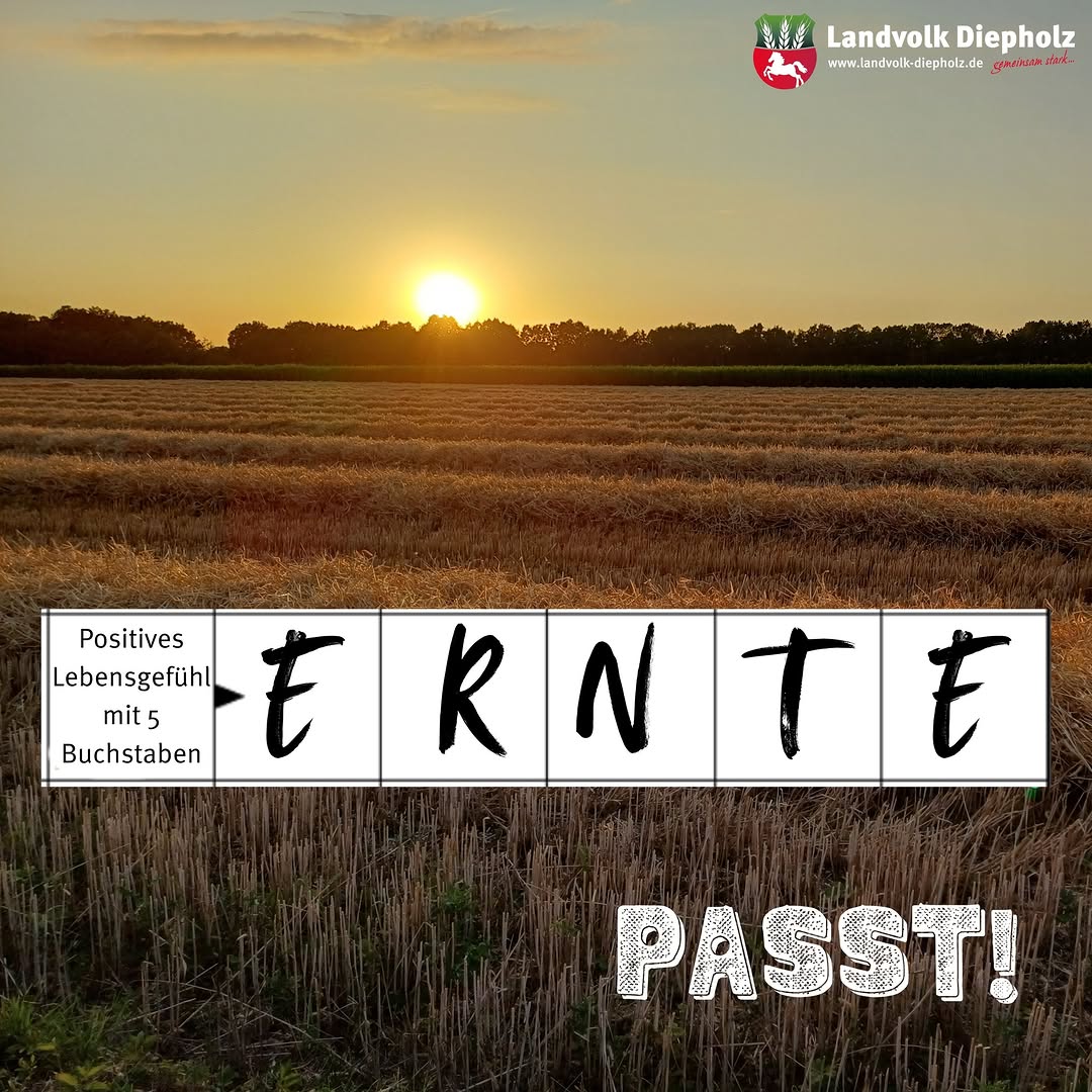 <a href="https://www.instagram.com/p/DbTWr1XAvvv" target="_blank">Landwirtinnen und Landwirte wissen was gemeint ist! #DiesesGefühl #Ernte2026 #Erntezeit #Landwirtschaft</a>