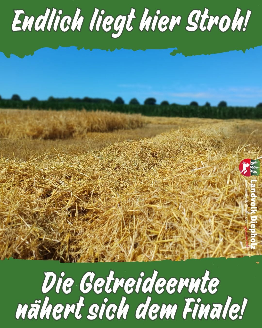 <a href="https://www.instagram.com/p/DbkqqatDrOq" target="_blank">Wo die Getreidefelder wogten sind jetzt noch Stroh und Stoppeln übrig. Die Getreideernte ist in vielen Regionen in den l…</a>