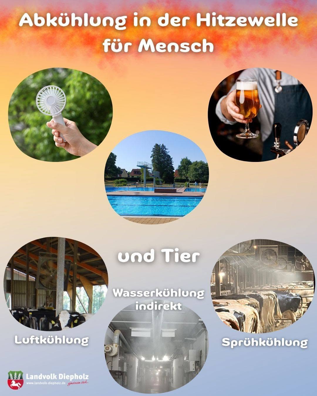 <a href="https://www.instagram.com/p/Dbu_nQ6DoZM" target="_blank">Am Wochenende soll es wieder ordentlich warm werden – da tut Abkühlung für Mensch und Tier not. Durch Ventilatoren, Klim…</a>