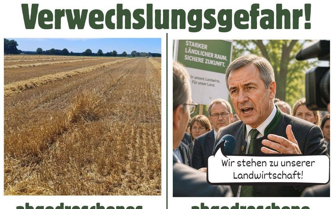 Lippenbekenntnisse zur heimischen Landwirtschaft gibt es so viele wie Stoppeln auf dem abgeernteten Feld. Aber was wird …