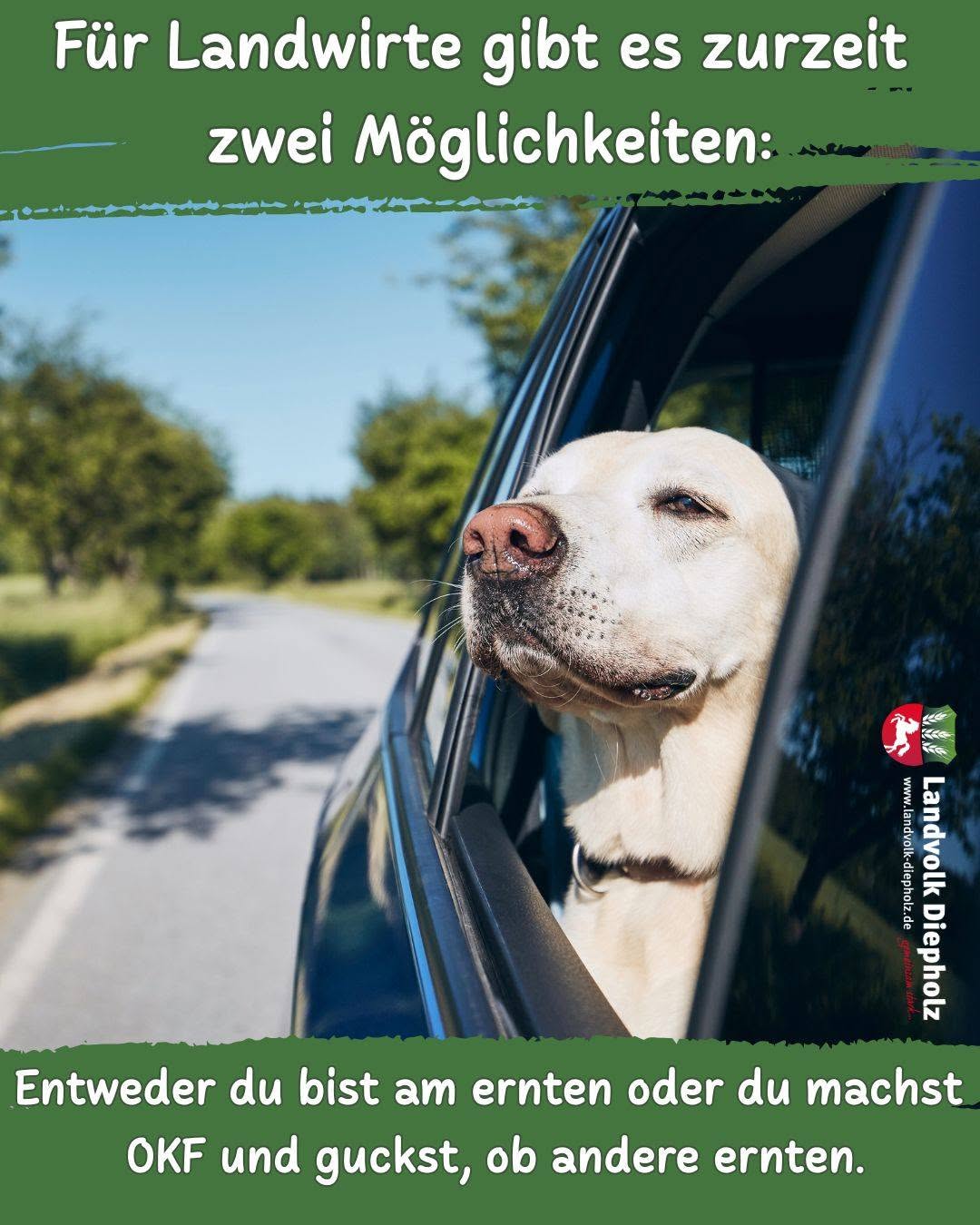 <a href="https://www.instagram.com/p/DcIWFHbjFWN" target="_blank">Und immer die Nase im Wind! 😉🐶 #Hofhund #Ernte2026 #Landwirtschaft #OKF</a>