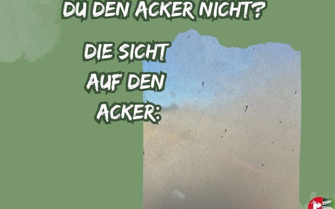 An Staub mangelt es nicht… 🙈 #Landwirtschaft #lehrjahresindkeineherrenjahre
