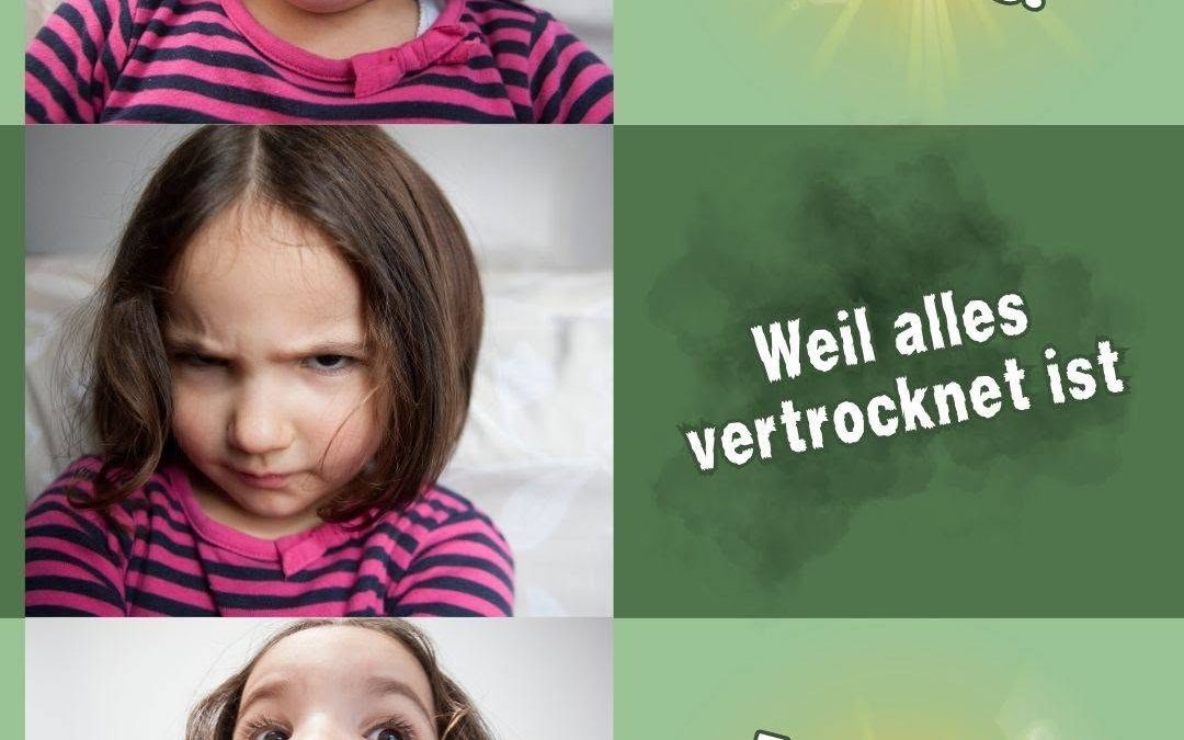 Es ist ein Wechselbad der Gefühle… #Ernte2026 #Mais #Maisernte