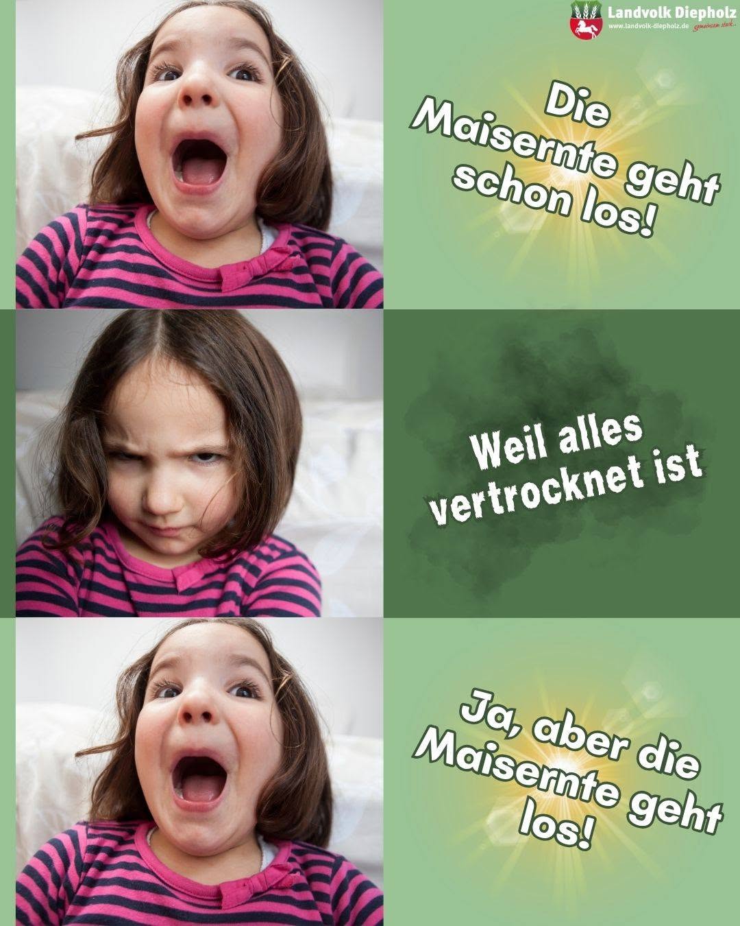<a href="https://www.instagram.com/p/DckuMqqj_GD" target="_blank">Es ist ein Wechselbad der Gefühle… #Ernte2026 #Mais #Maisernte</a>