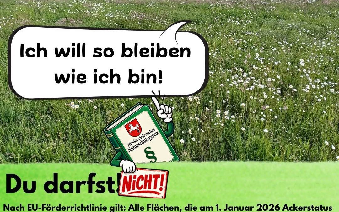 Ja nicht zu einfach machen! Die EU hat in ihren GAP-Richtlinien die Regelung gekippt, dass Acker, auf dem 5 Jahre hinter…