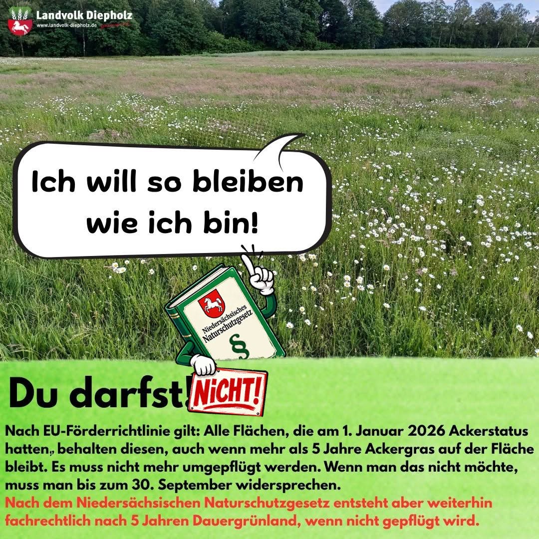 <a href="https://www.instagram.com/p/DcsZKxIFoxn" target="_blank">Ja nicht zu einfach machen! Die EU hat in ihren GAP-Richtlinien die Regelung gekippt, dass Acker, auf dem 5 Jahre hinter…</a>