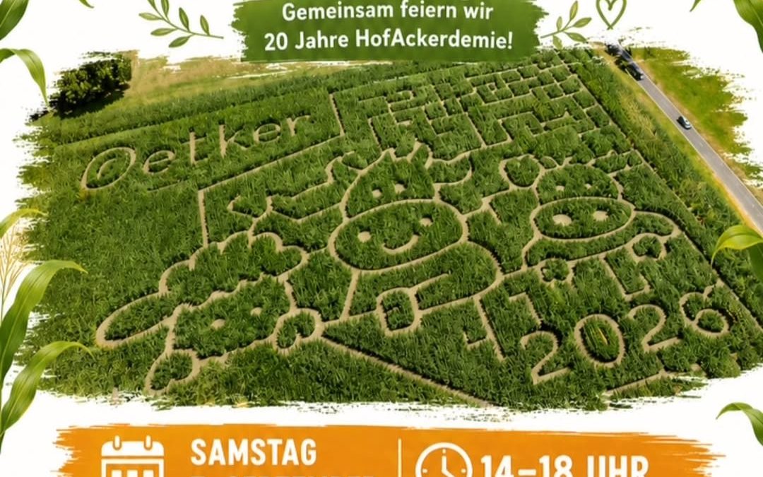 🌽 Sommerfest im Maislabyrinth – und dieses Jahr gibt es einen ganz besonderen Grund zu feiern! 🎉 Am 5. September von 1…