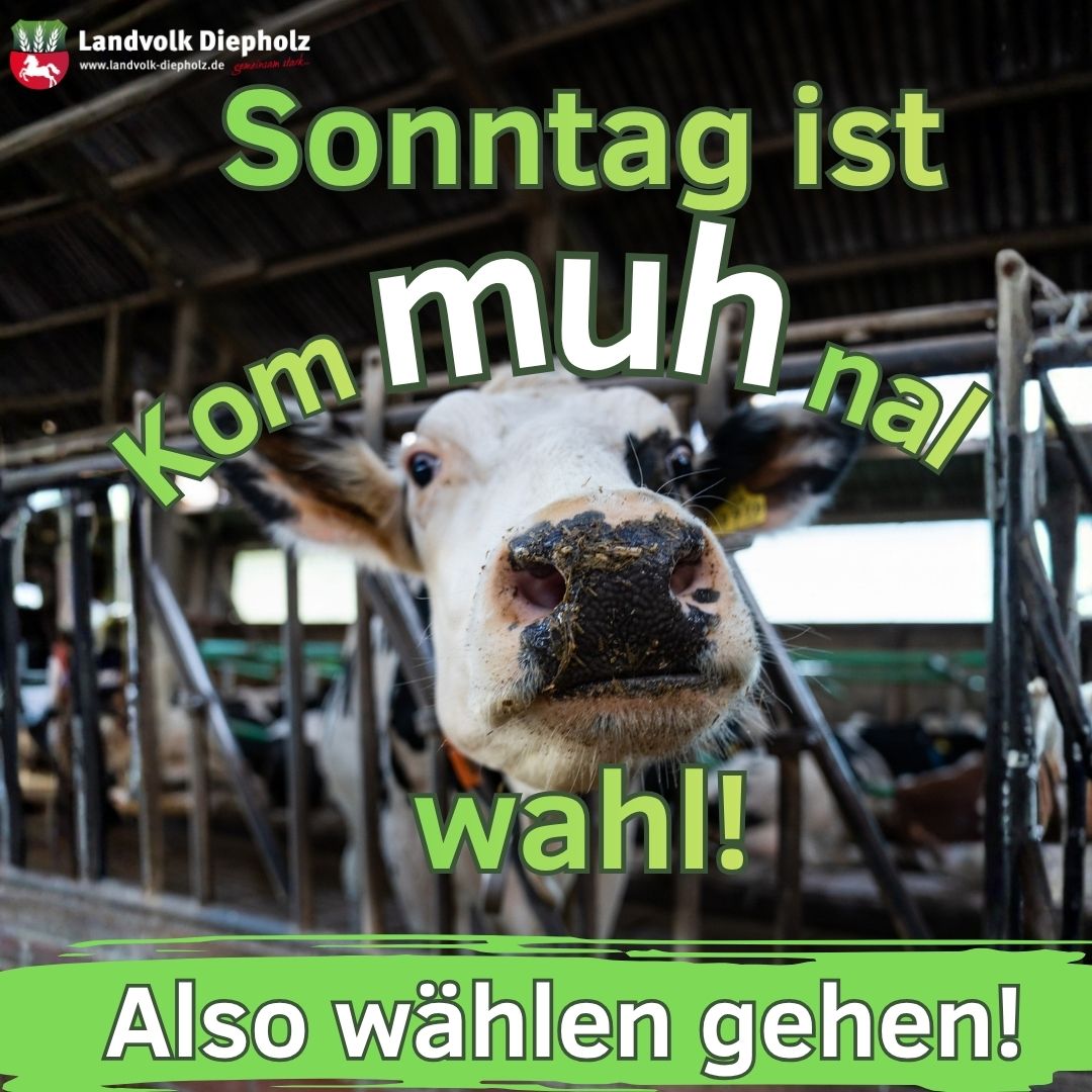 <a href="https://www.instagram.com/p/DdLTJkTji0b" target="_blank">Wählen gehen ist Kuh-l! 🗳🐮 Am Sonntag wählt Niedersachsen die kommunalen Vertretungen neu. Teilweise werden Landräte u…</a>