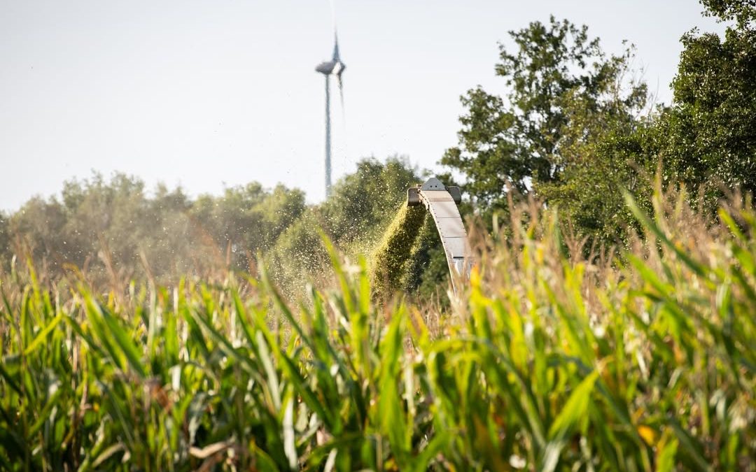 Nanu, was sehen wir denn da… 😉🌽🌽🌽 #Maisernte #Maisfahren #Mais #Ernte2026