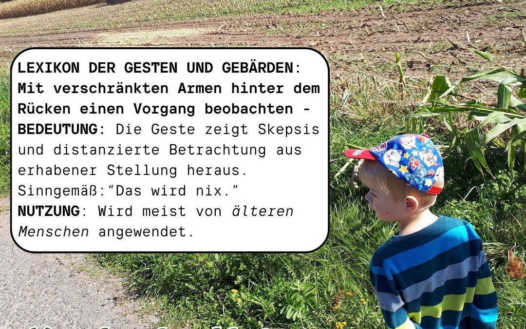 Wir sagen aber: Das wird was! 😅🌽🌽🌽 #Maisernte #Mais #Landwirtschaft