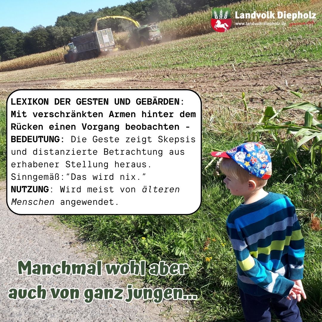 <a href="https://www.instagram.com/p/DdvZe_DkqZx" target="_blank">Wir sagen aber: Das wird was! 😅🌽🌽🌽 #Maisernte #Mais #Landwirtschaft</a>