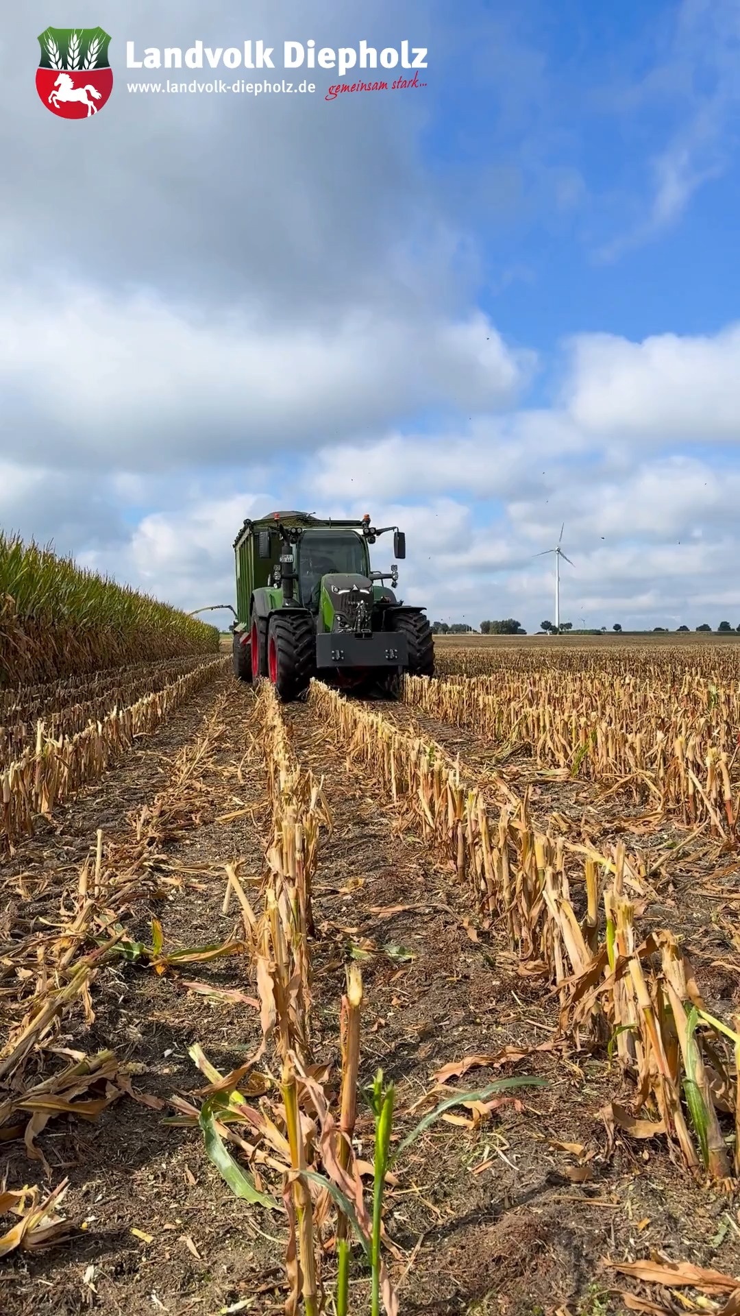 <a href="https://www.instagram.com/p/Dd5pw4QAQLI" target="_blank">Der Song zum Maisfahren ist da! 🌽🚜🌽🚜🌽</a>