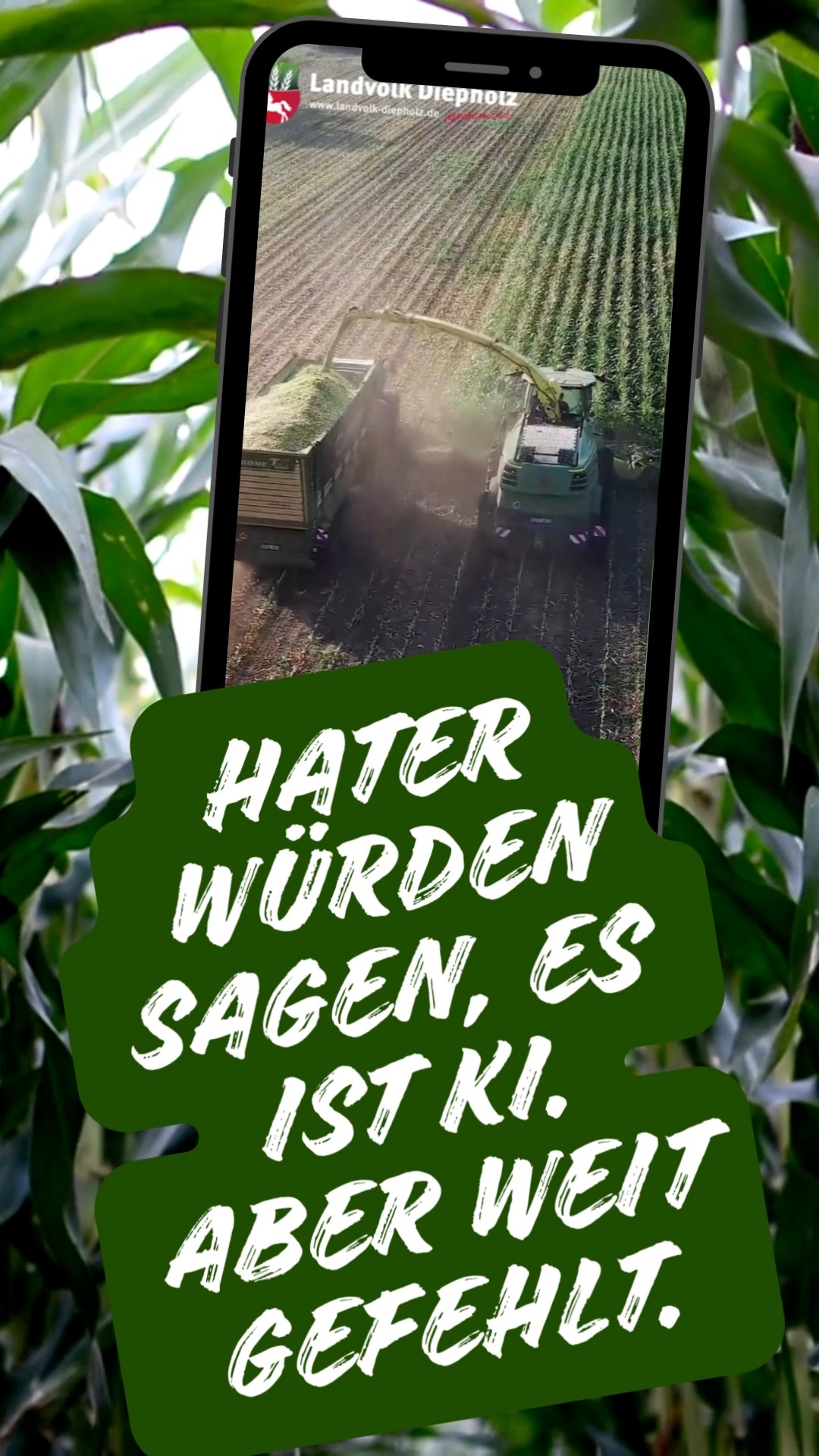 <a href="https://www.instagram.com/p/DeHlRGlkzCO" target="_blank">Wie entstand der Maisfahren-Song? 🌽 Hier die Auflösung: So war es wirklich… 😉 #Maissong #behindthescene #Maisfahren …</a>