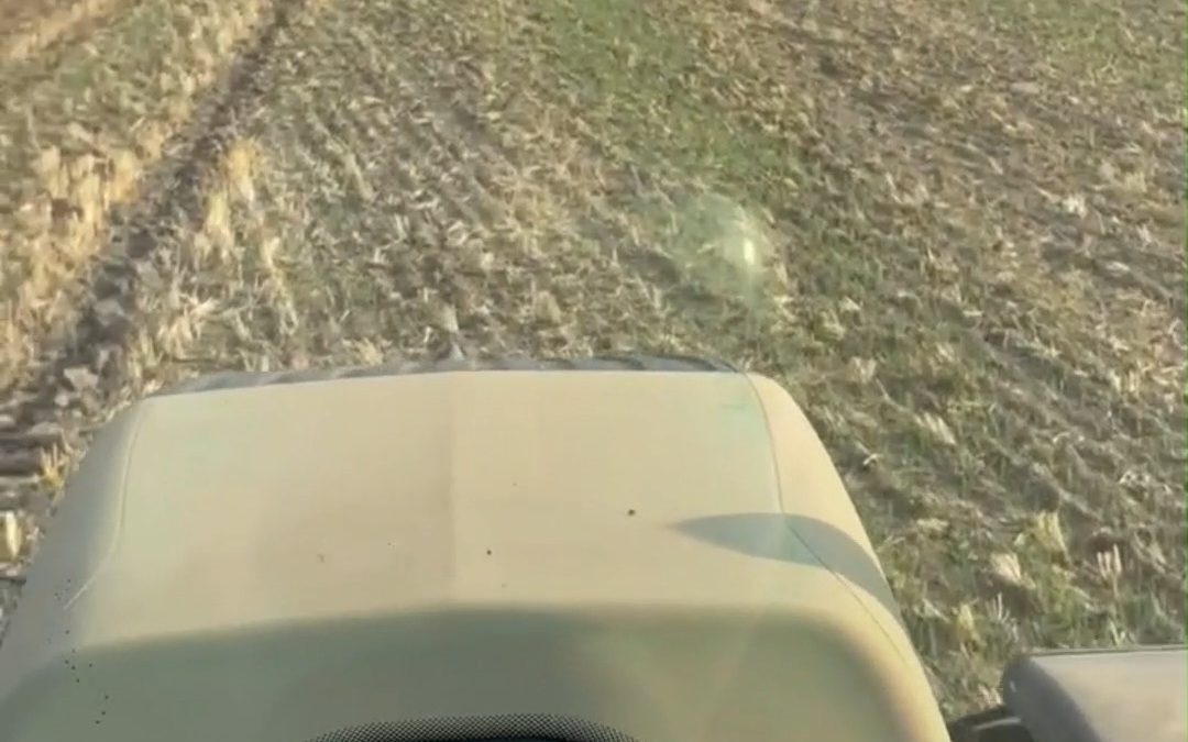 Aussaat-Zeit… was morgen wächst und übermorgen geerntet wird, muss heute gesät werden! #sowing #Aussaat #Landwirtschaf…