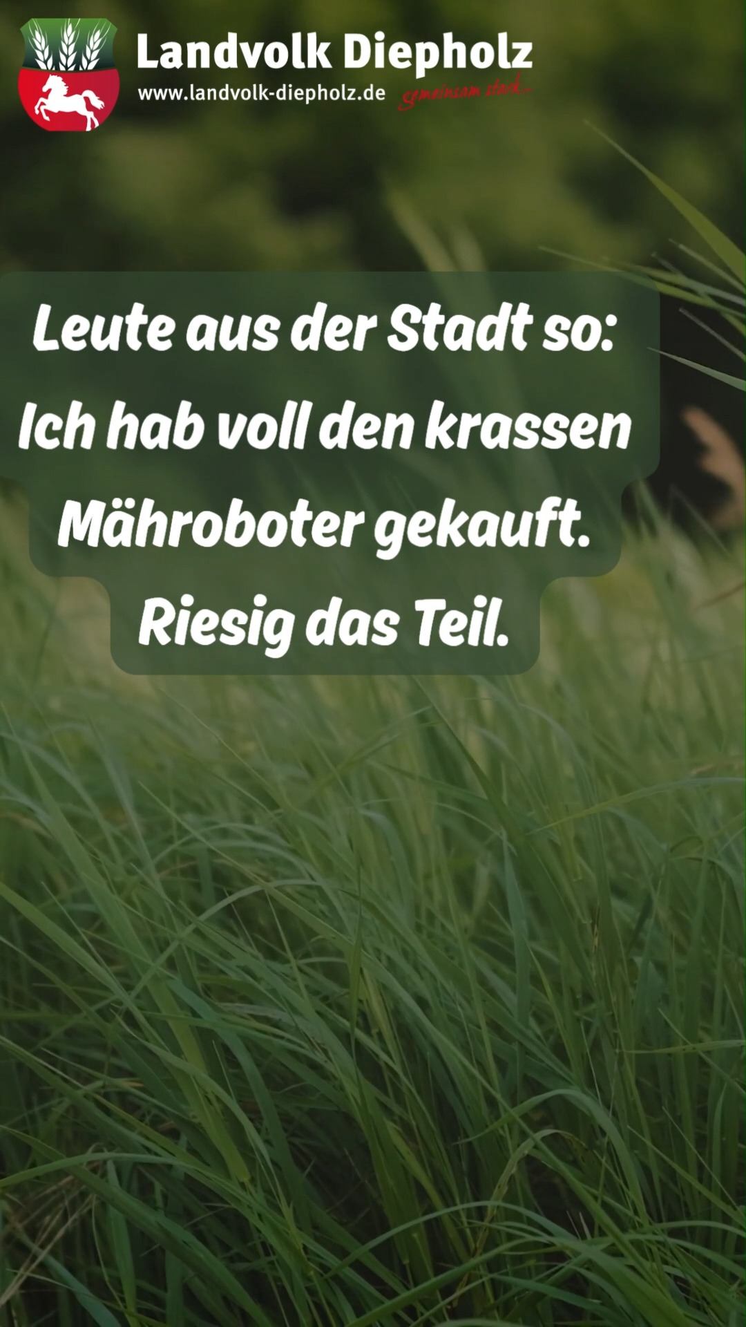 <a href="https://www.instagram.com/p/De3e3R0FBIN" target="_blank">#Mähroboter #Grasmähen #Roboter #Landwirtschaft #Landleben</a>
